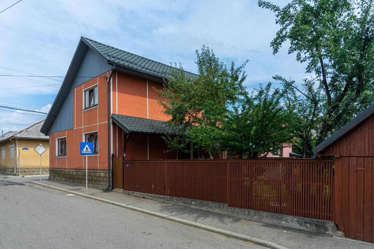 Generous Family Home Vişeu de Sus Exterior foto